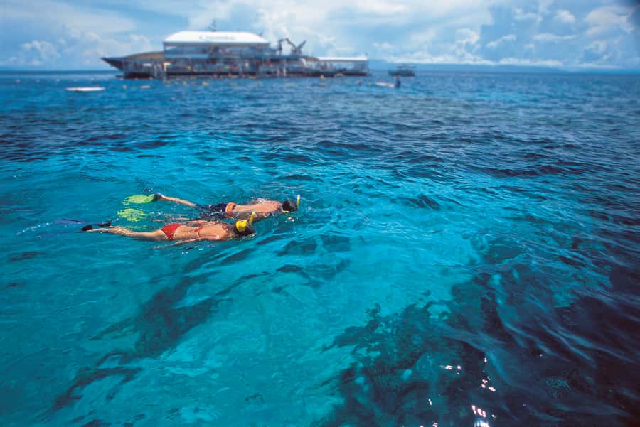 Port Douglas: Quicksilver Outer Barrier Reef Full-Day Cruise - Group size, organisation, and the feel of the day