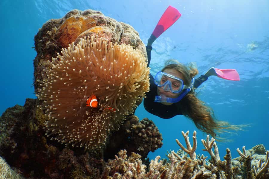 Port Douglas: Quicksilver Outer Barrier Reef Full-Day Cruise - Why Agincourt Reef is the main attraction