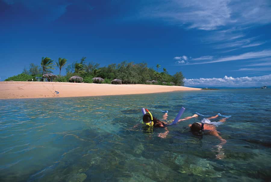 Port Douglas: Reef & Low Isles Cruise on Luxury Catamaran - An early start at Port Douglas marina