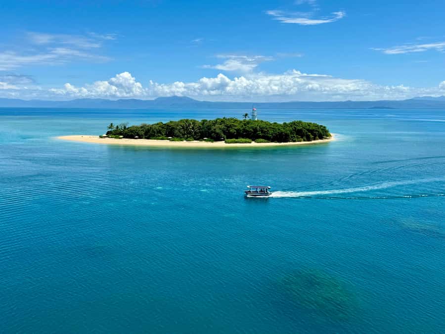 Port Douglas: Reef & Low Isles Cruise on Luxury Catamaran - The glass-bottom boat and reef interpretation