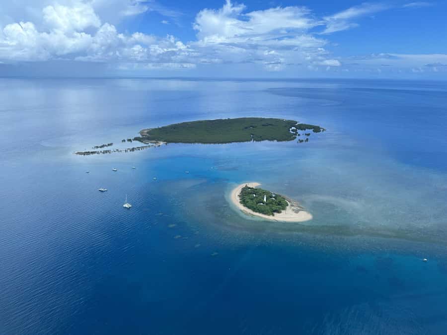 Port Douglas: Reef & Low Isles Cruise on Luxury Catamaran - The sail back to Port Douglas