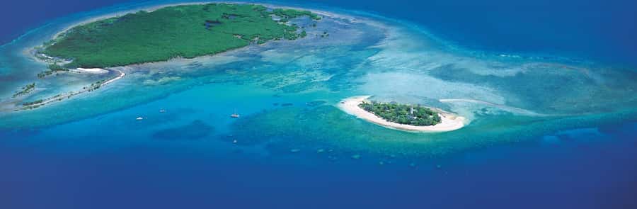 Port Douglas: Reef & Low Isles Cruise on Luxury Catamaran - How the $240 price measures up