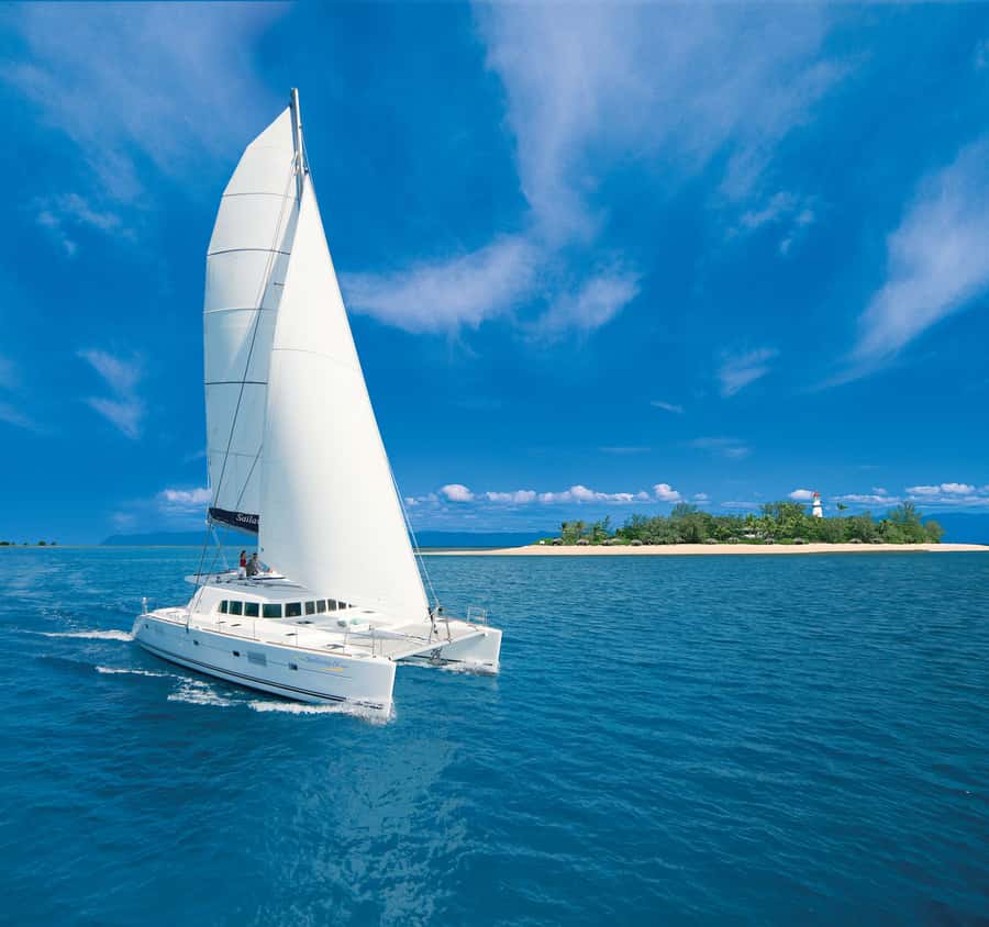 Port Douglas: Reef & Low Isles Cruise on Luxury Catamaran - Four and a half hours around Low Isles