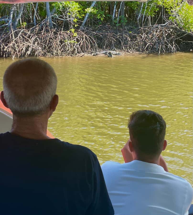 Port Douglas: River Cruise, Crocodile Spotting, Drink/ Snack - Snacks, drinks, and the family factor