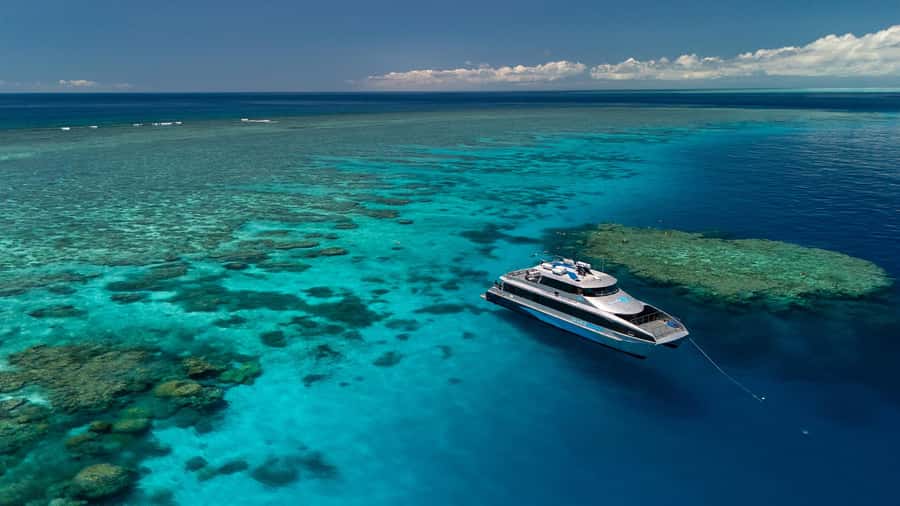 Port Douglas: Silversonic Great Barrier Reef Dive & Snorkel - Key details before you book