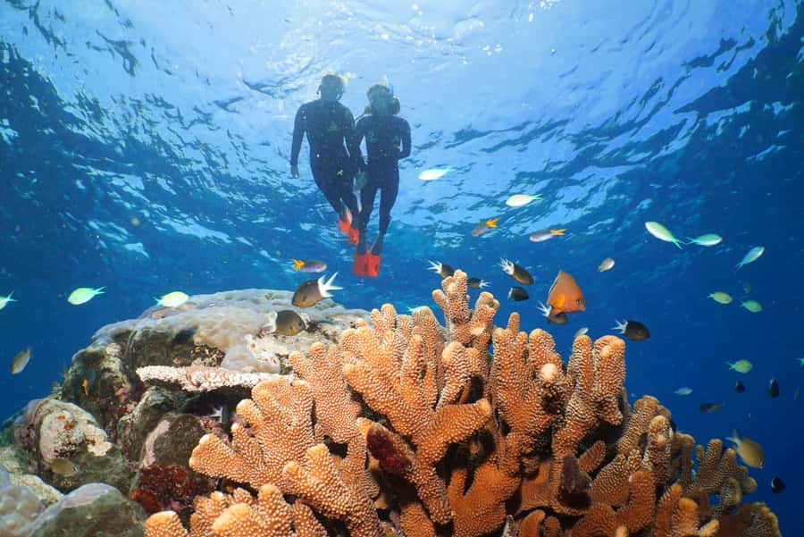 Port Douglas: Silversonic Great Barrier Reef Dive & Snorkel - Boarding at 7:45 AM and settling into the catamaran