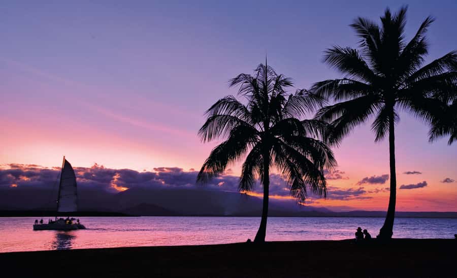 Port Douglas: Sunset Sailing Cruise on Luxury Catamaran - Booking advice and cancellation flexibility