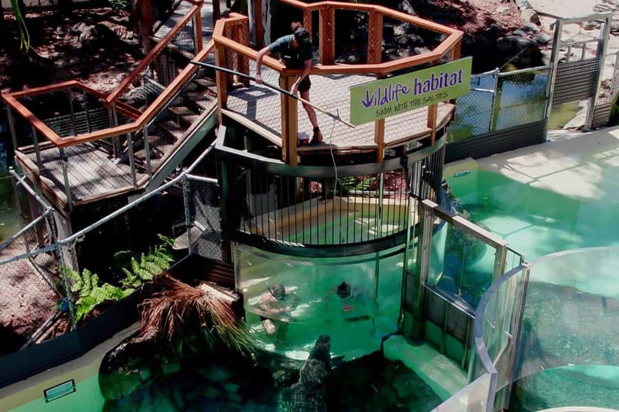 Port Douglas: Wildlife Habitat Swim with Crocodiles - Key points to know before you book