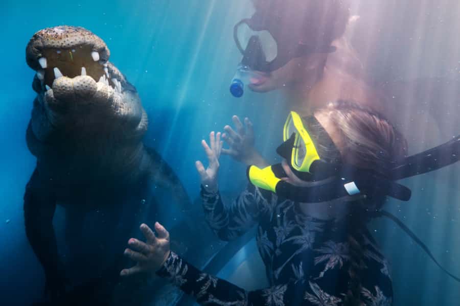 Port Douglas: Wildlife Habitat Swim with Crocodiles - The CrocArena swim and 180-degree underwater view