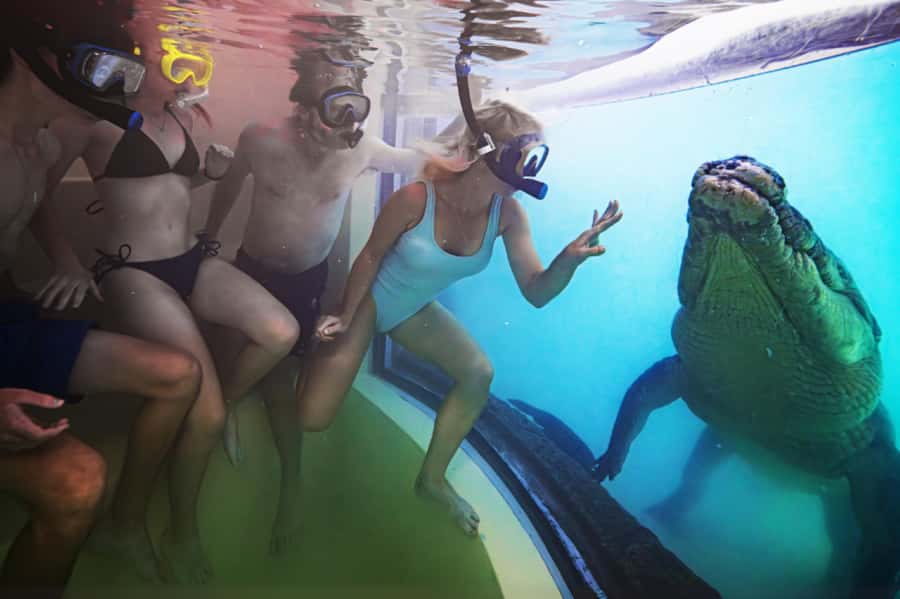 Port Douglas: Wildlife Habitat Swim with Crocodiles - Who will enjoy this experience most?