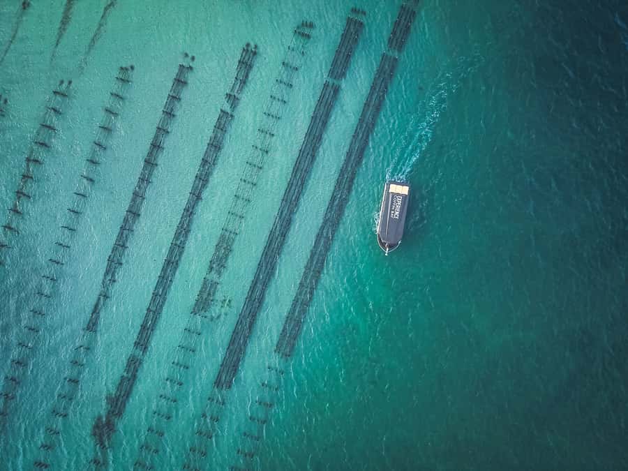 Port Lincoln: Coffin Bay Seafood, Wine, and Nature Day Trip - Why this Port Lincoln day trip works so well