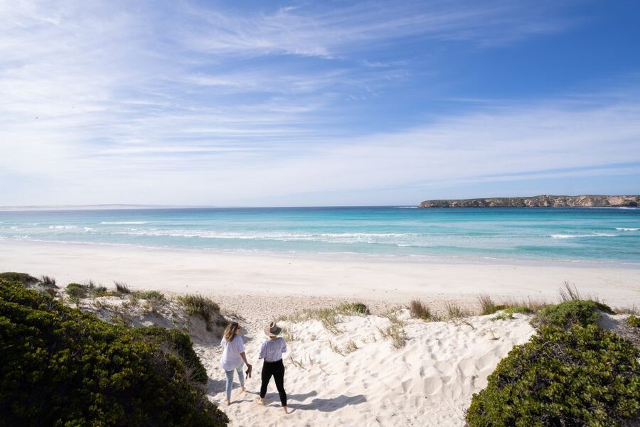 Port Lincoln: Coffin Bay Seafood, Wine, and Nature Day Trip - The $95 oyster farm upgrade
