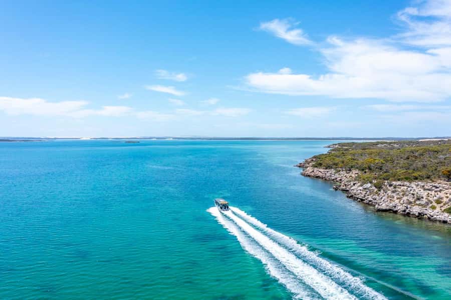 Port Lincoln: Coffin Bay Seafood, Wine, and Nature Day Trip - Is $183 good value?