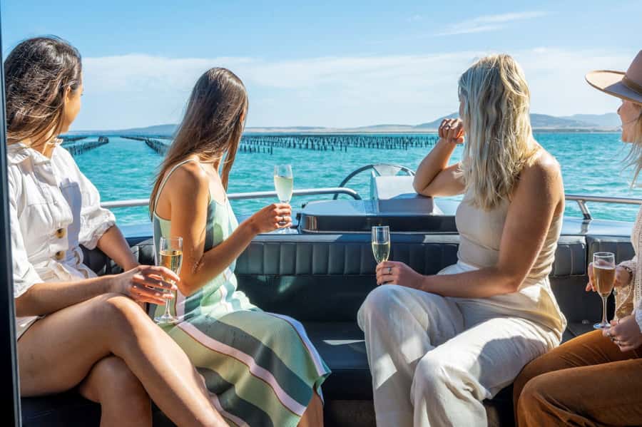 Port Lincoln: Coffin Bay Seafood, Wine, and Nature Day Trip - Who should book this outing?