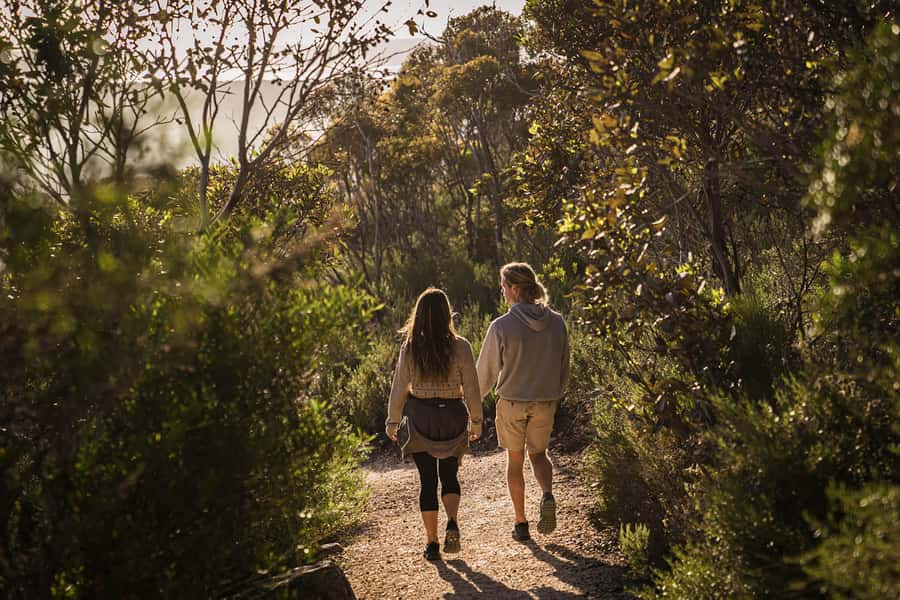 Port Lincoln Day Tour: Eyre Peninsula - Is $140 good value?