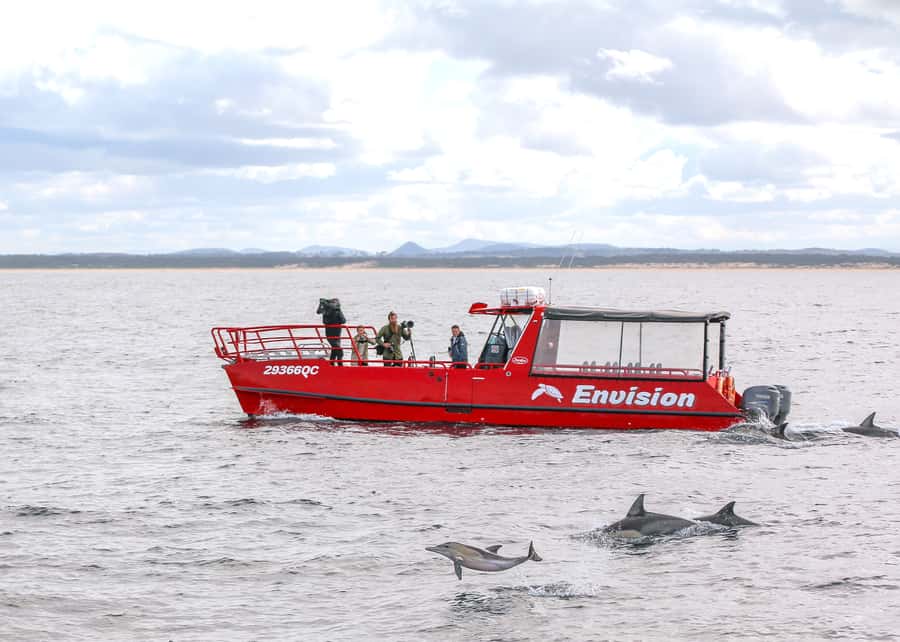 Port Stephens: 1hr Dolphin Watch Express - What the Port Stephens Dolphin Watch Express is really like