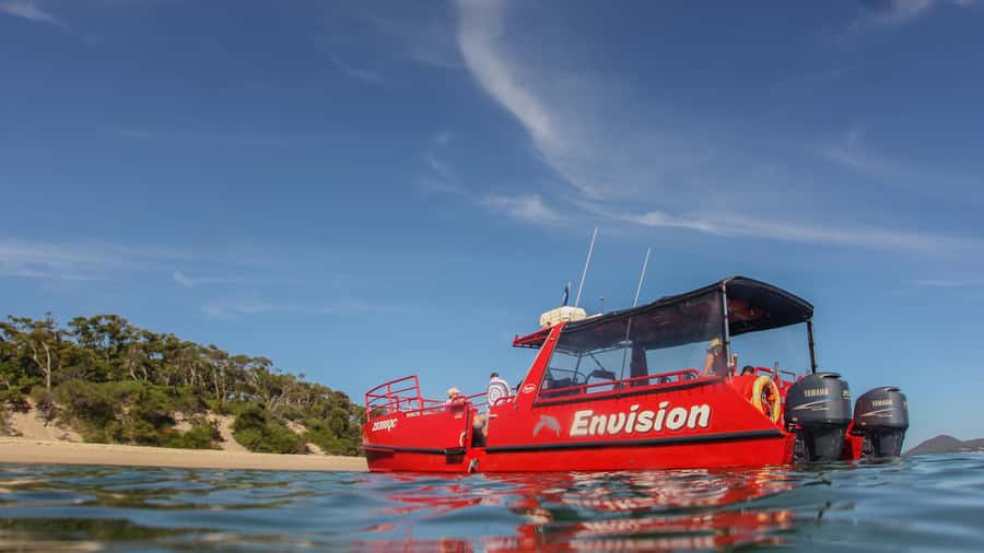 Port Stephens: 1hr Dolphin Watch Express - Dock C at Nelson Bay is an easy starting point