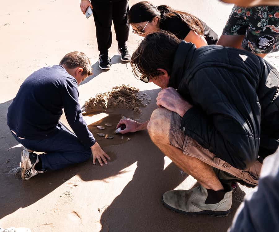 Port Stephens: Birubi Beach 4WD Tour with Sandboarding - What the 4WD ride adds