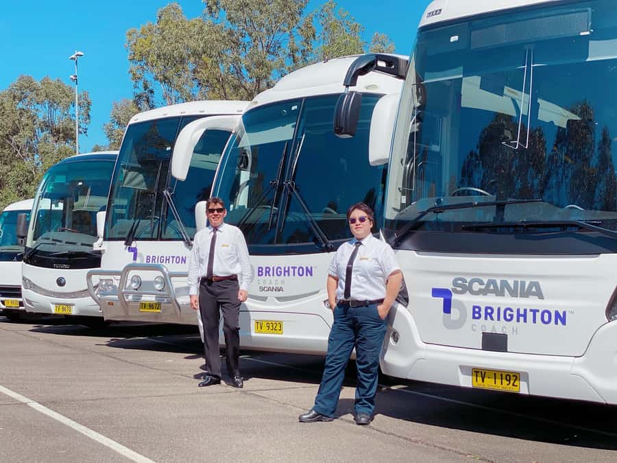 Port Stephens: Dolphin Cruise, Lunch, Koalas & Sandboarding - Sandboarding across Stockton Beach