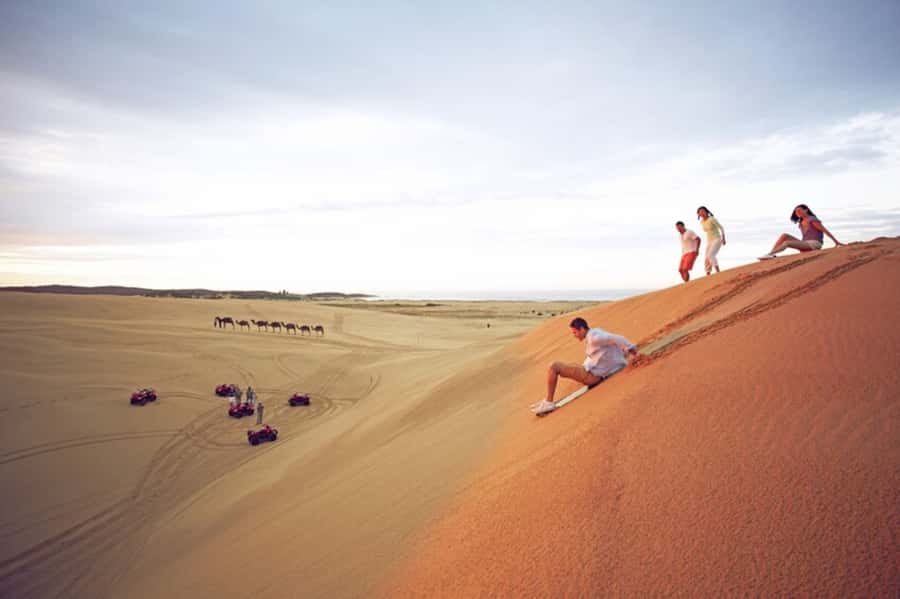 Port Stephens: Dolphin Cruise, Lunch, Koalas & Sandboarding - Port Stephens and the 90-minute dolphin cruise