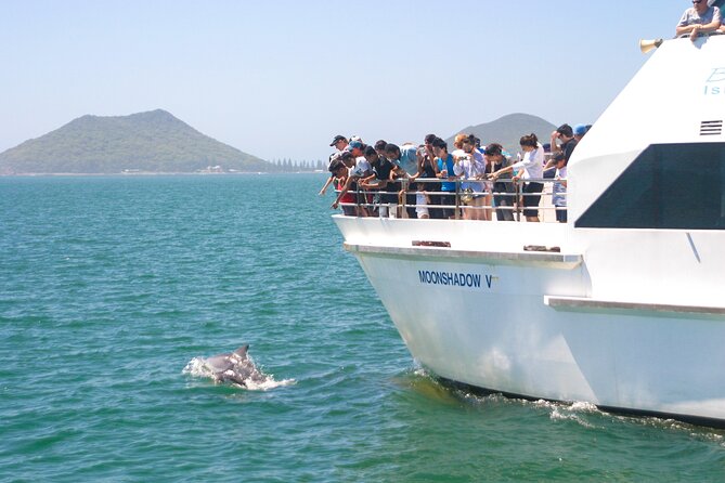 Port Stephens: Dolphin Discovery Cruise - Leaving Nelson Bay and entering the harbour