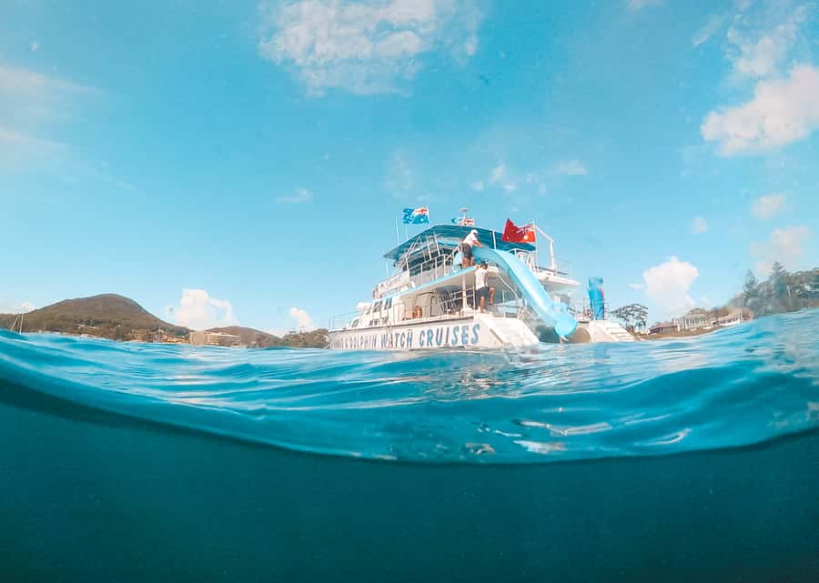 Port Stephens: Dolphin Watch Cruise with Swimming and Slides - Tomaree and Yacaaba from the water