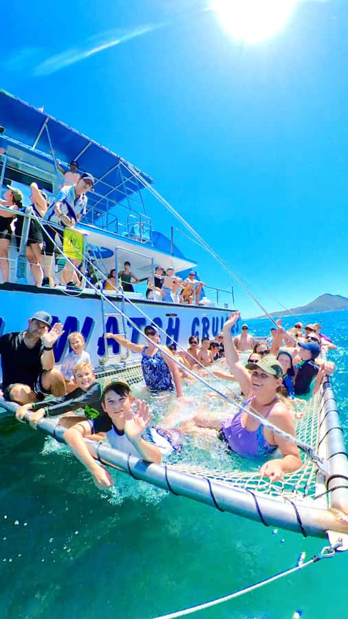 Port Stephens: Dolphin Watch Cruise with Swimming and Slides - Is $35 good value?