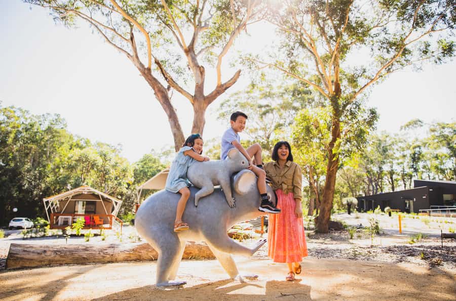 Port Stephens: Koala Sanctuary General Admission Ticket - A Quiet Finish at Fat Possum Kiosk
