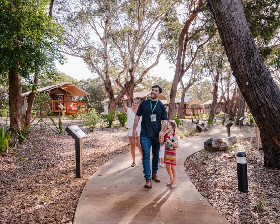 Port Stephens: Koala Sanctuary General Admission Ticket - Starting Along the 250-Metre Sanctuary Story Walk