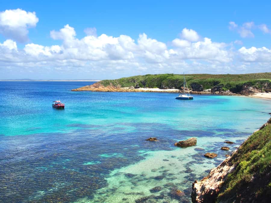Port Stephens: Port Stephens Island Snorkel Adventure Cruise - Key points at a glance