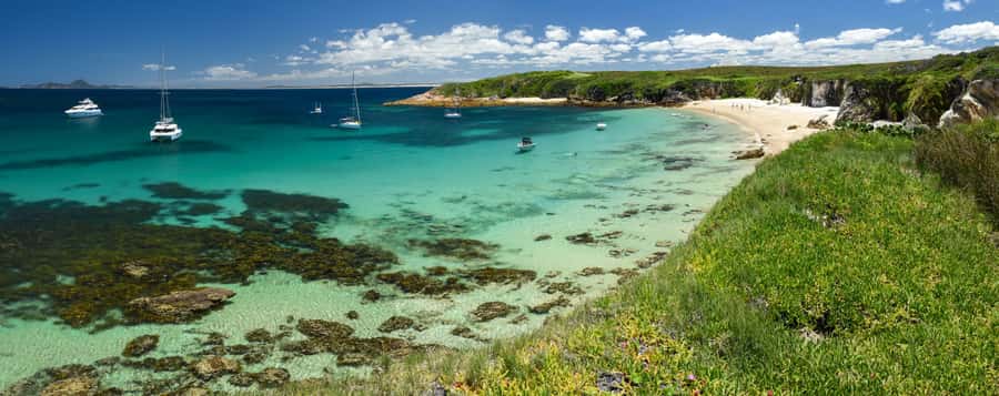 Port Stephens: Port Stephens Island Snorkel Adventure Cruise - Marine life beyond the usual fish