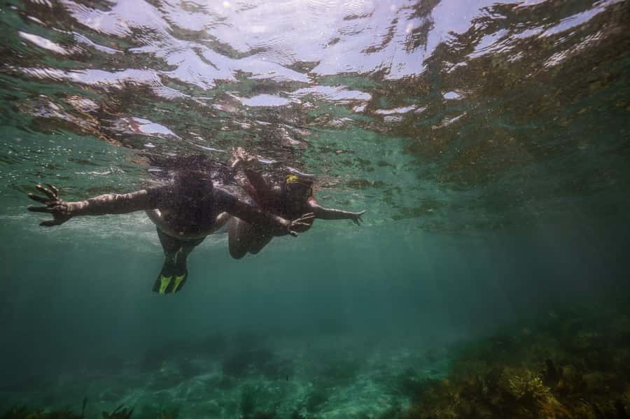 Port Stephens: Port Stephens Island Snorkel Adventure Cruise - Choosing between Cabbage Tree, Broughton, and Fingal
