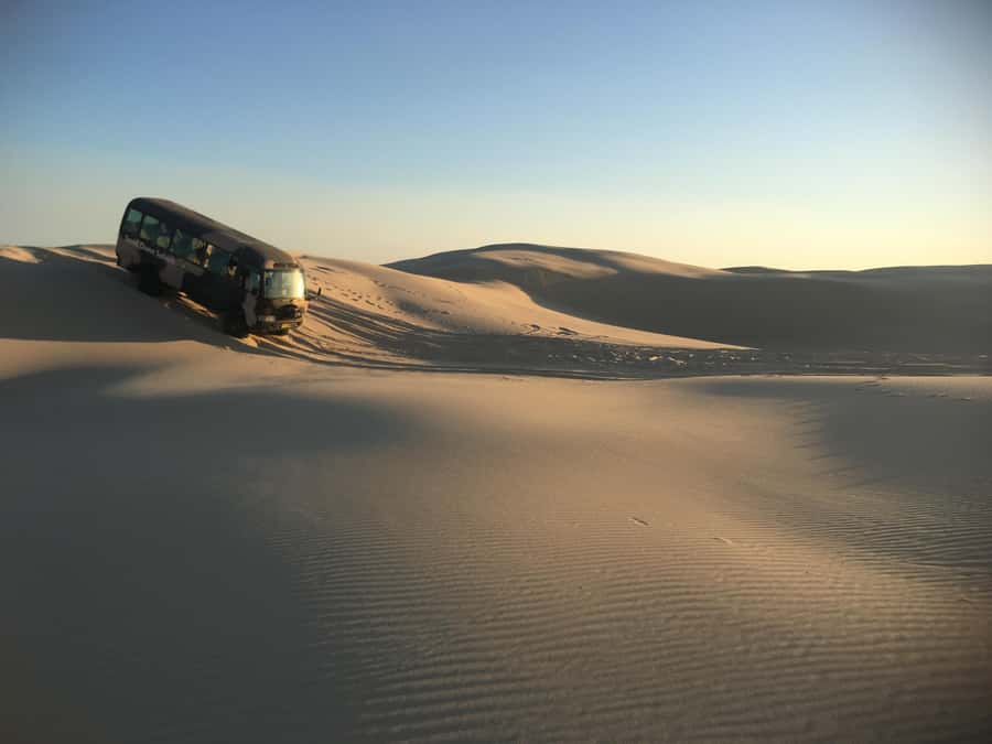 Port Stephens: Unlimited Sandboarding with 4WD Dune Transfer - Key points to know before you go