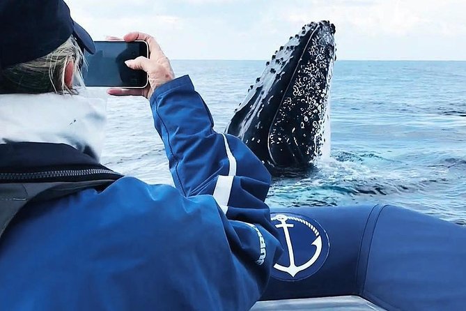 Premier Whale Watching Byron Bay - Setting out from Richmond River