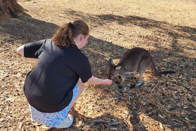 Premium Adelaide Hills Cleland Wildlife and Hahndorf Minibus Tour - Hahndorf gives you control over the middle of the day