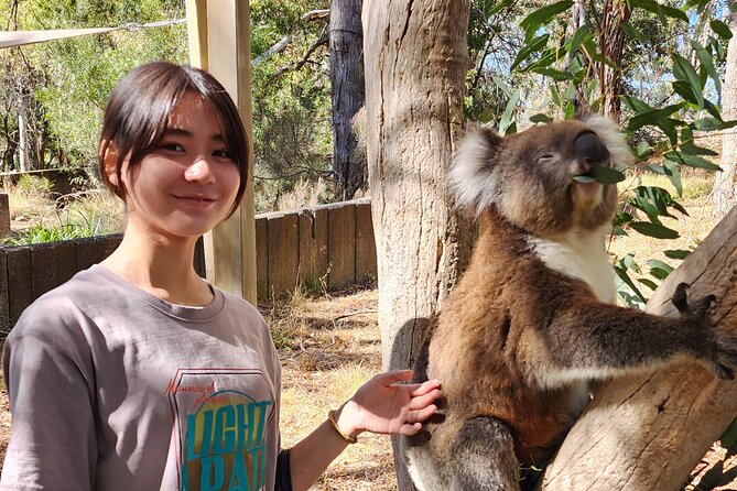 Premium Adelaide Hills Cleland Wildlife and Hahndorf Minibus Tour - Cobb’s Hill Estate finishes with cheese and wine
