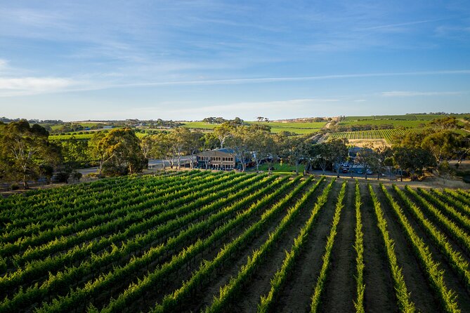 Premium All-Inclusive McLaren Vale Wine and Brew Minibus Tour - The group size and social side of the day