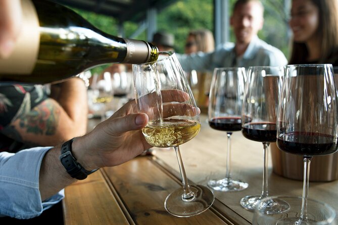 Premium Hunter Valley Wine Tour with Lunch from Sydney - Guides can make or break the day