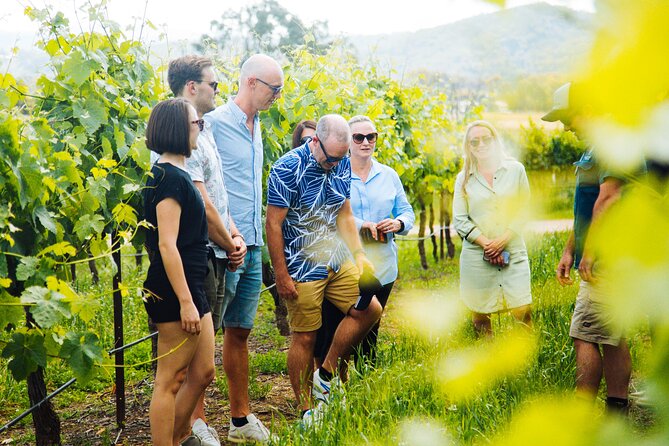 Premium Hunter Valley Wine Tour with Lunch from Sydney - Who should book this day trip?