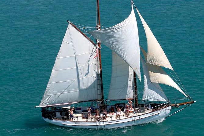 Providence Whitehaven Beach Sailing and Snorkeling Cruise - Key points to know before you book