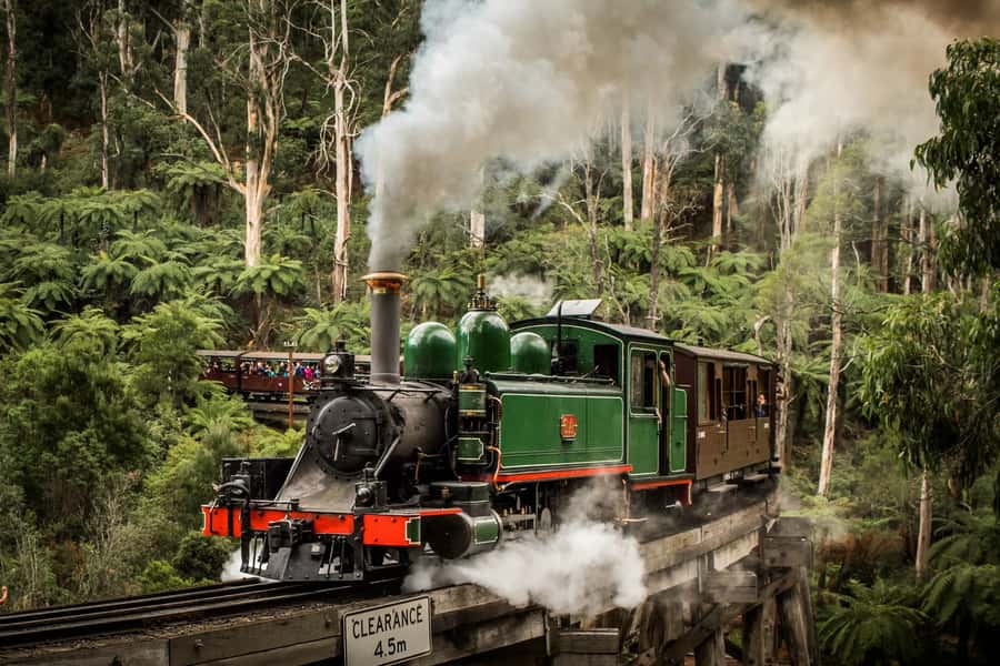 Puffing Billy Penguin Parade Winery Chocolaterie All-in-One - One packed day from Melbourne to Phillip Island