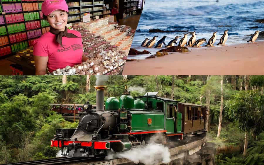 Puffing Billy Penguin Parade Winery Chocolaterie All-in-One - Cool-climate wine in the Yarra Valley