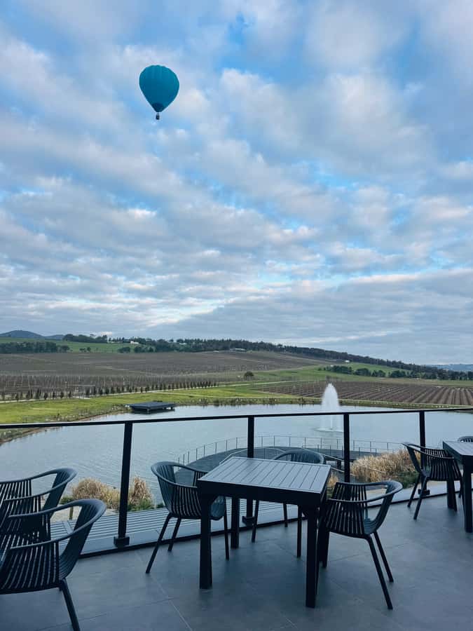 Puffing Billy Penguin Parade Winery Chocolaterie All-in-One - An optional stop at Maru Koala and Animal Park