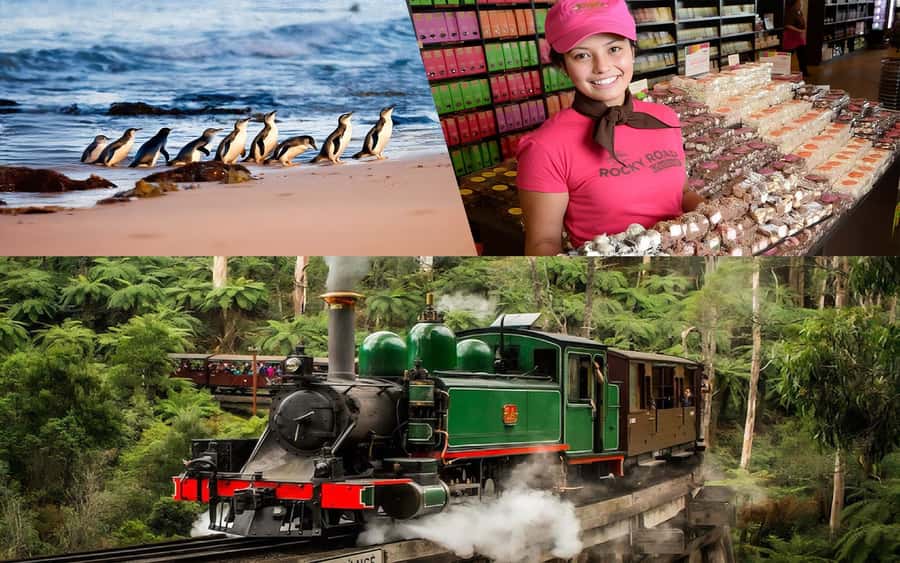 Puffing Billy Penguin Parade Winery Chocolaterie All-in-One - Starting with chocolate at Yarra Valley Chocolaterie