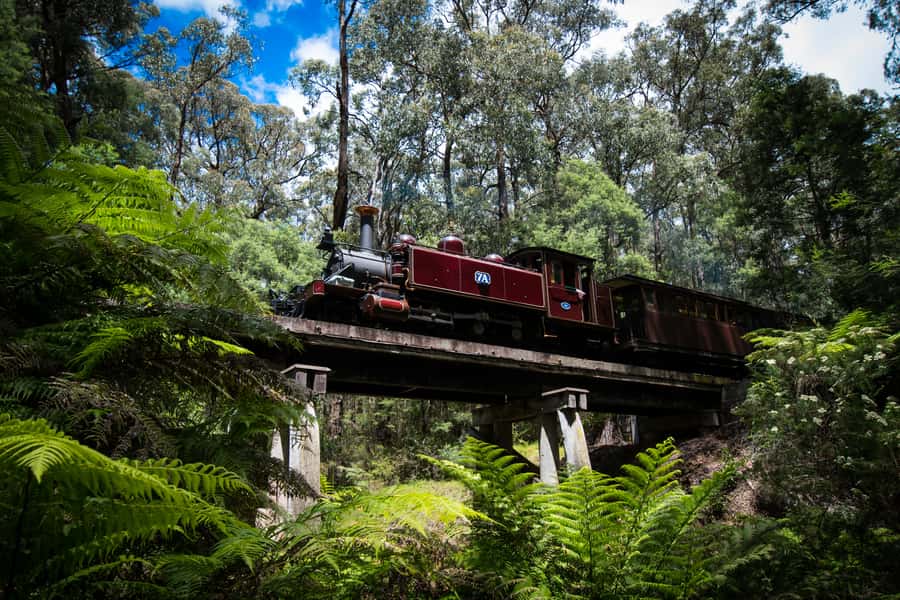 Puffing Billy Railway: Heritage Steam Train Journey - Who will enjoy this train ride most?