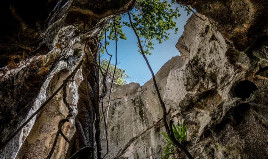 Queensland: 90 Minute Capricorn Caves Explorer Tour - Key points to know before you go