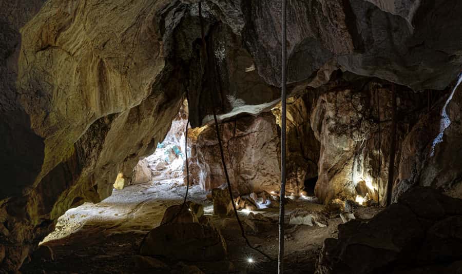 Queensland: 90 Minute Capricorn Caves Explorer Tour - The Flowerpot, where roots meet rock