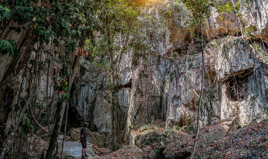 Queensland: 90 Minute Capricorn Caves Explorer Tour - Practical planning and flexible booking