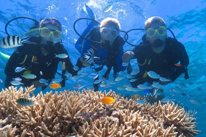 Quicksilver Great Barrier Reef Snorkel Cruise from Port Douglas - How the day feels in practice