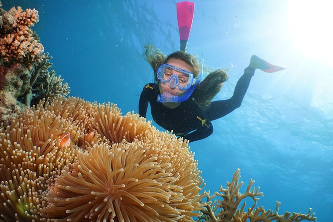 Quicksilver Great Barrier Reef Snorkel Cruise from Port Douglas - Who will get the most from this cruise
